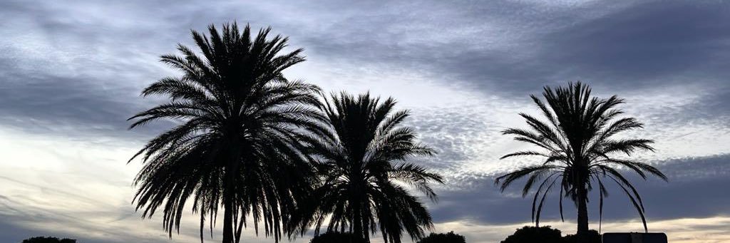 lilaconlima's profile banner image