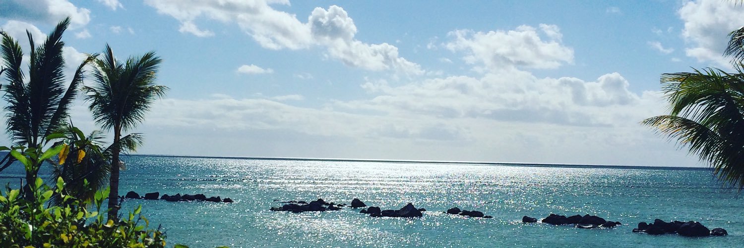 callumcduffield's profile banner image