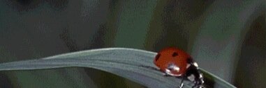 lgabertcrc's profile banner image
