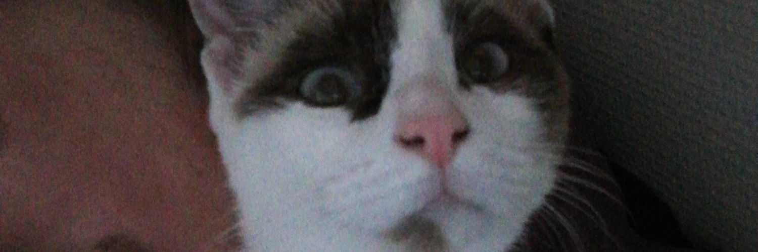 ju_gulaire's profile banner image
