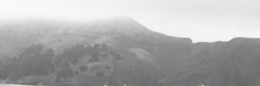 DowntownEG's profile banner image