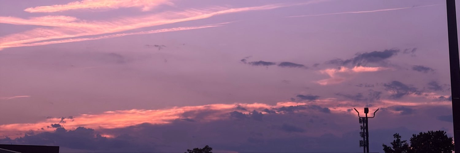 fromyourstrulee's profile banner image