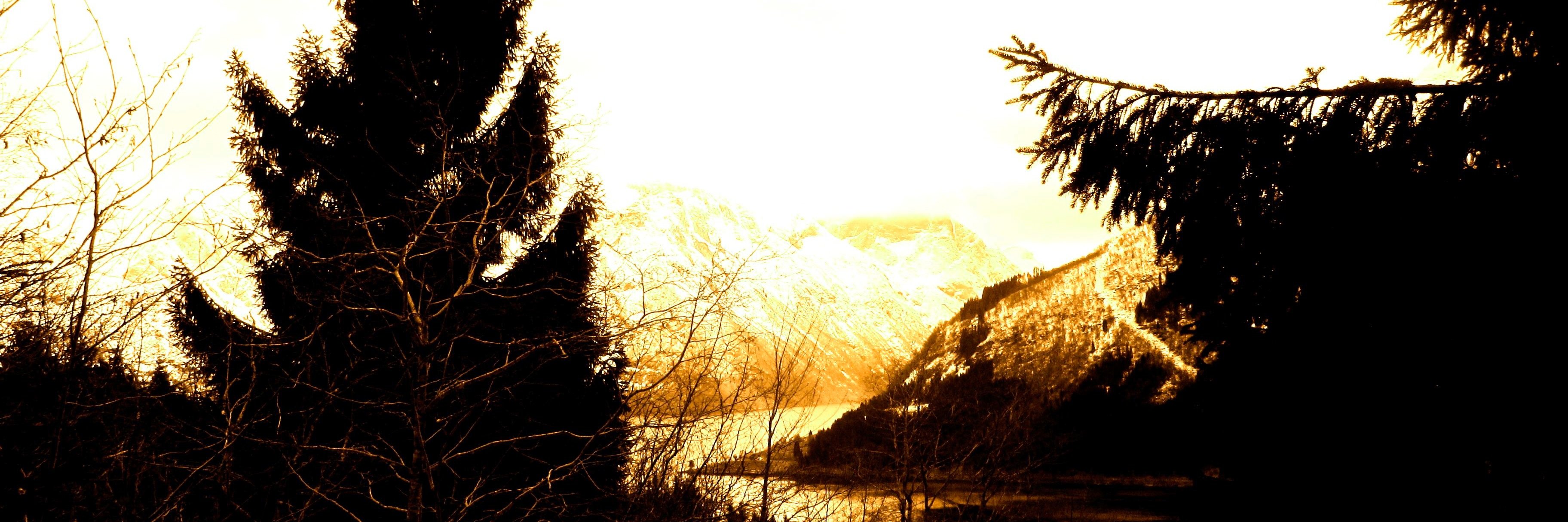 wingpling's profile banner image