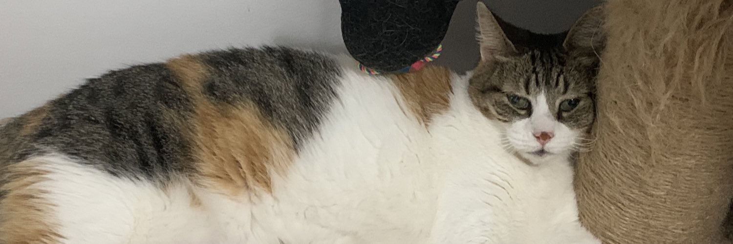 michimargan's profile banner image
