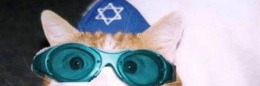Based Zionist Broad banner