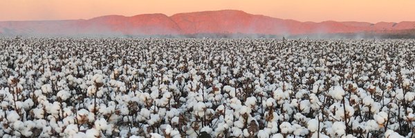 _sharondownes Profile Banner