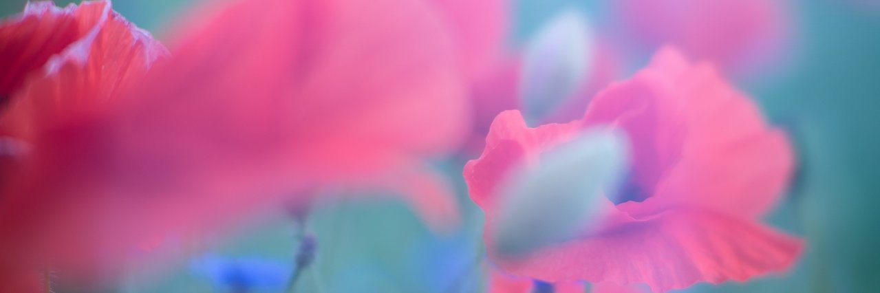 Michał Hawliczek banner