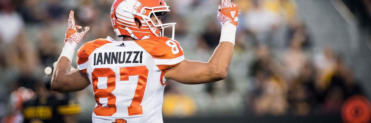 iannuzzimarco's profile banner image