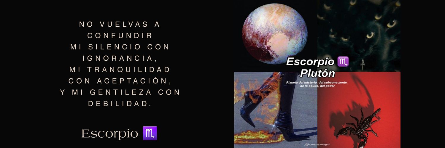 Monsy Rod 🔺️ banner