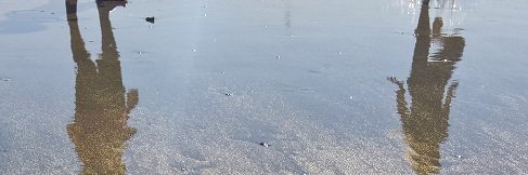 pveps's profile banner image