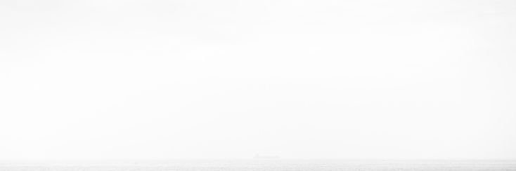 V. banner