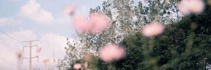 llulamoir's profile banner image