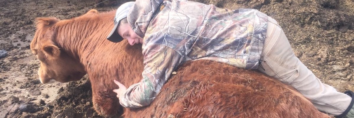 buckywill23's profile banner image