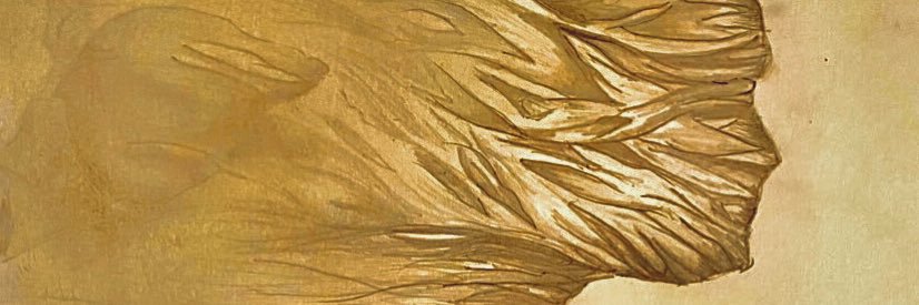 SelimTrch's profile banner image