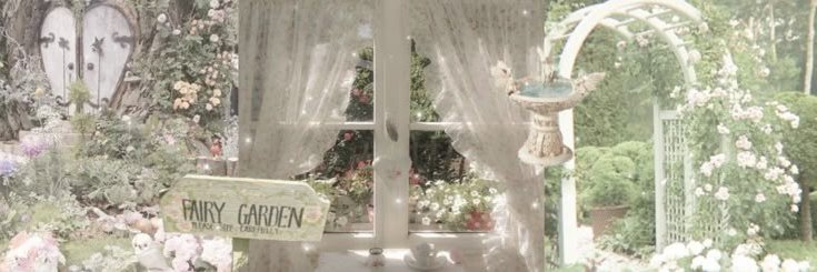 jeyya⊹ mt after dm banner