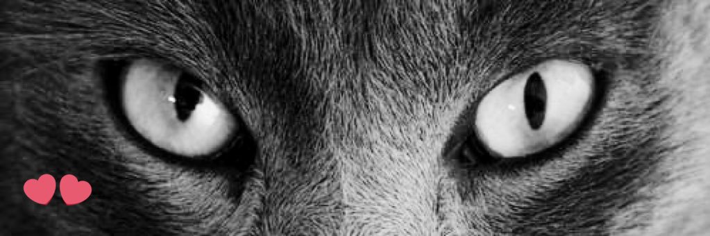 clpages1's profile banner image