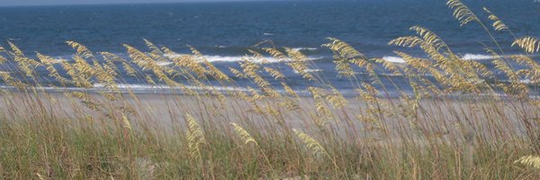 mantonireads Profile Banner