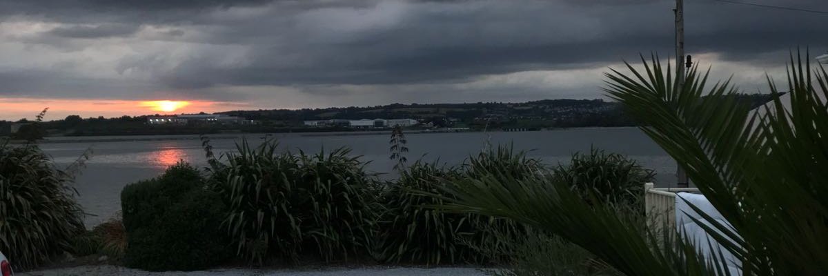 Eugene♊Walsh banner