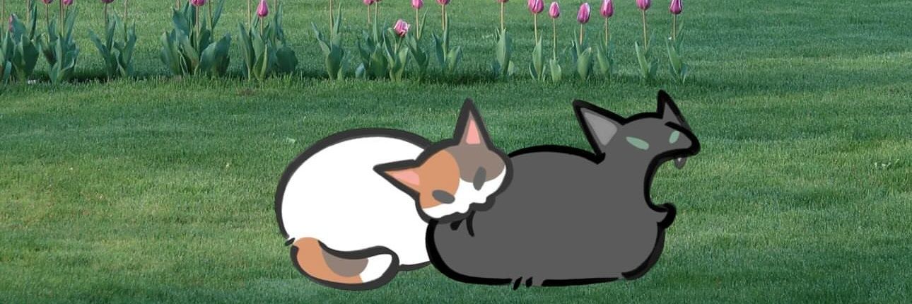 daintycalla's profile banner image