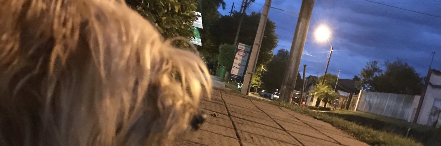 TamiFigue's profile banner image