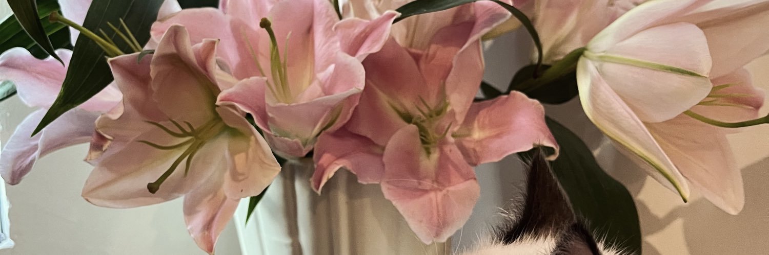 𝐺𝑜𝑑’𝑠 𝑓𝑎𝑣𝑜𝑟𝑖𝑡𝑒 ‹𝟹 banner