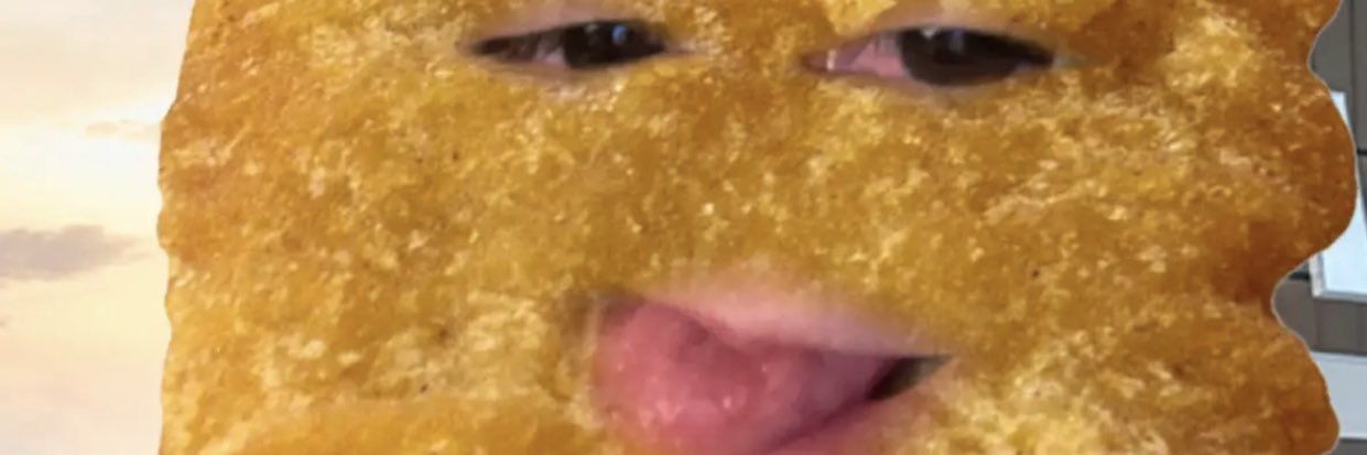 turtleguts's profile banner image