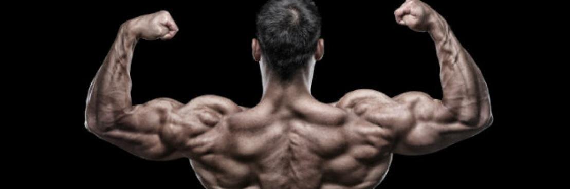 WorkThatMuscle's profile banner image