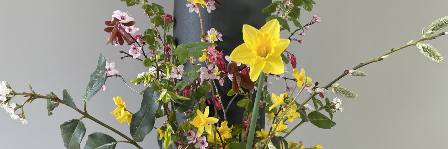 sineadhanson2's profile banner image