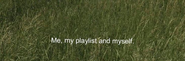 Alana banner
