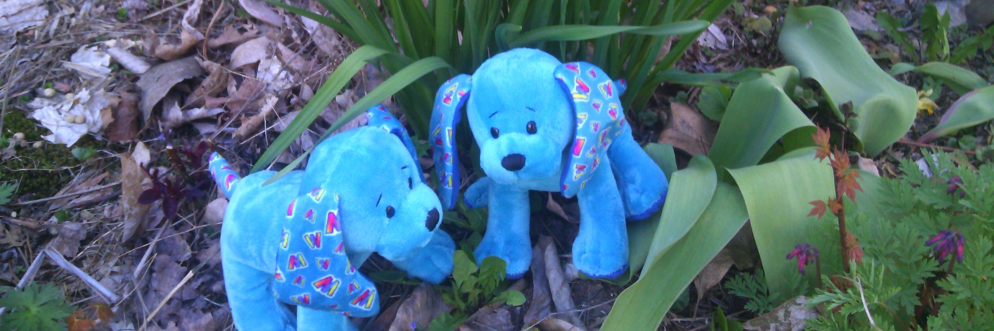 TheSnuggleKinz's profile banner image