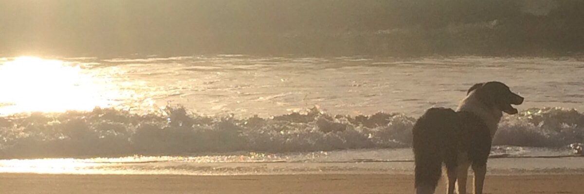 SergLato's profile banner image