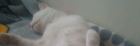 bkddkb2000's profile banner image