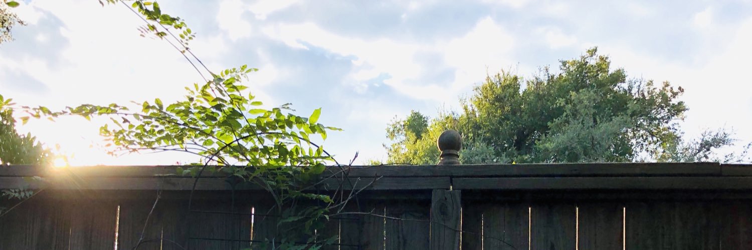 optimisticmom1's profile banner image