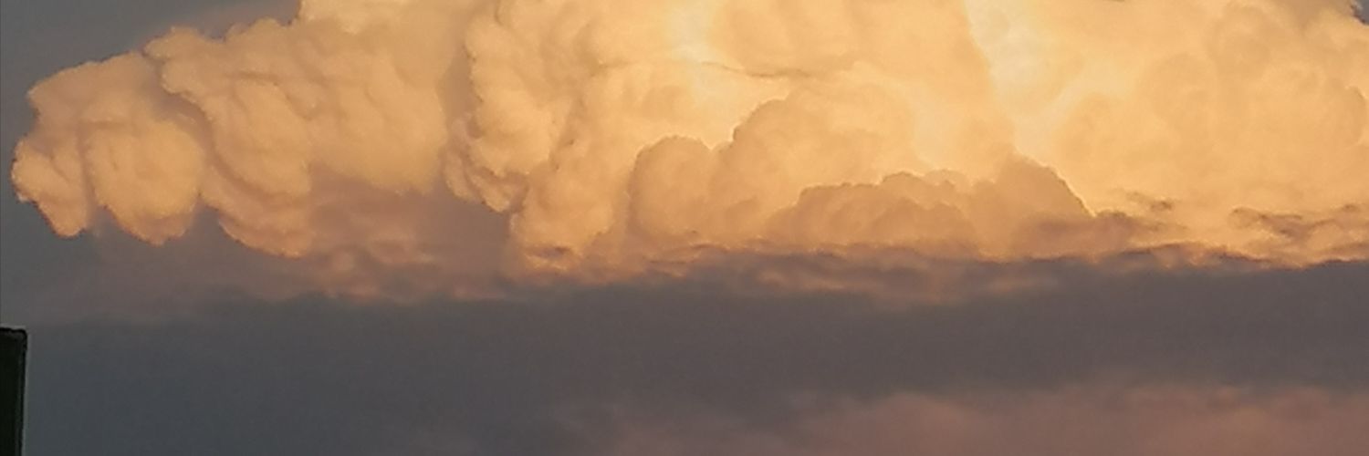 MudghemN's profile banner image