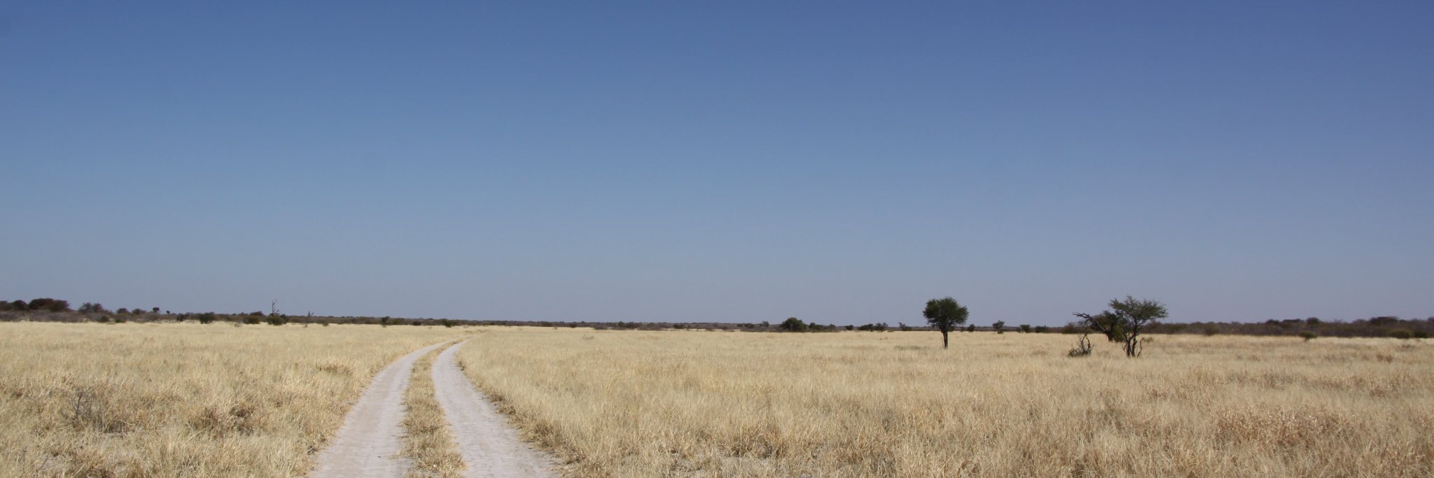 sawiltel's profile banner image