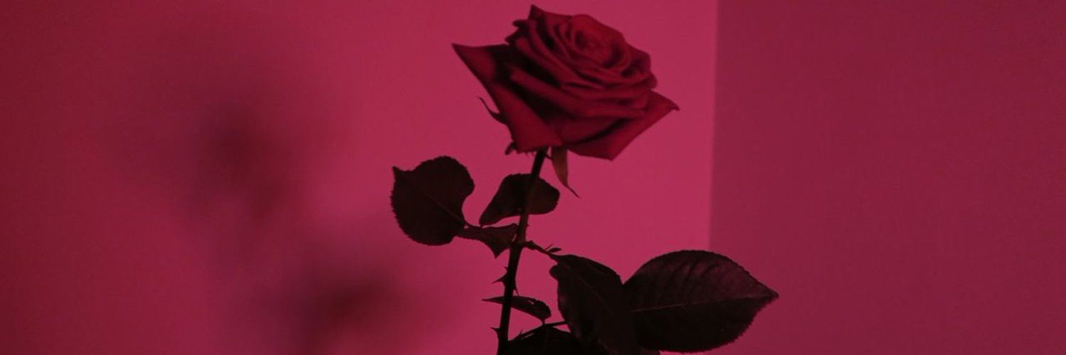 Siil_alza's profile banner image