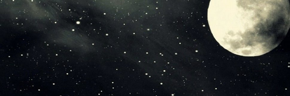 sarahsalmann's profile banner image