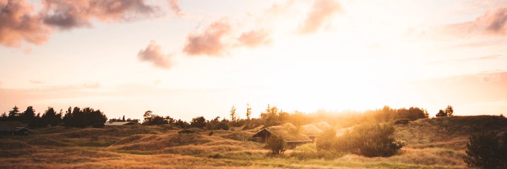 Olly_Anna's profile banner image