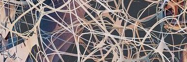 amdseila's profile banner image