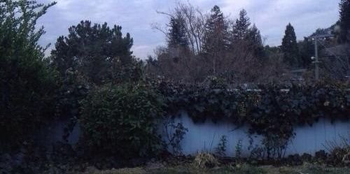 itsdavidspgdr's profile banner image