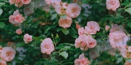foundsmthbetter's profile banner image