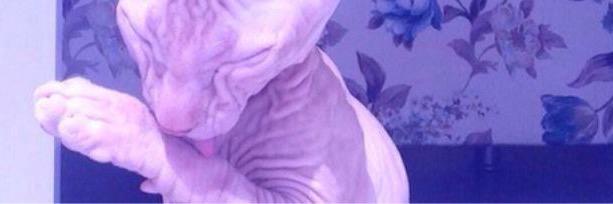 jesusmagcon's profile banner image