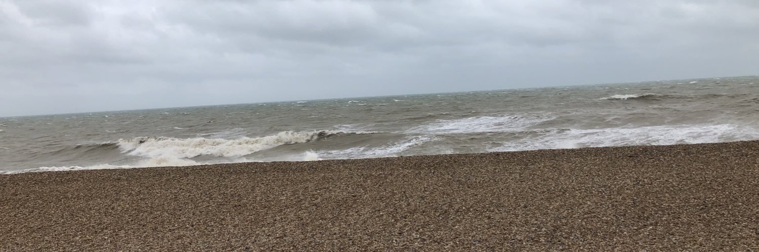 Birgit Meldal banner