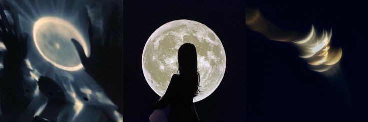 🦋 banner