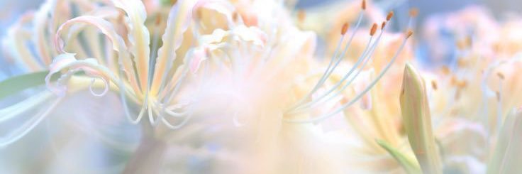 0405ESME's profile banner image