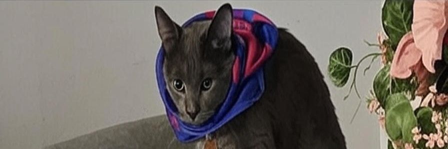 ÇŽÆŘ BƏŇĮŢĔŻ banner