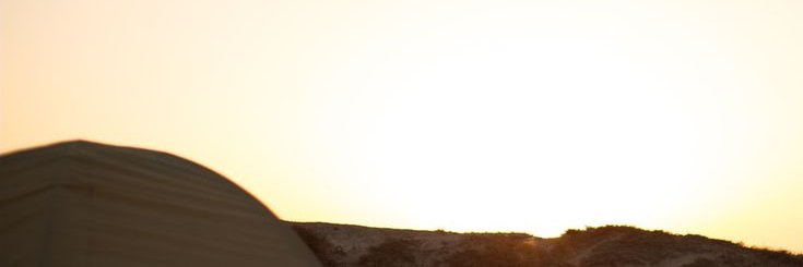 Noir. banner