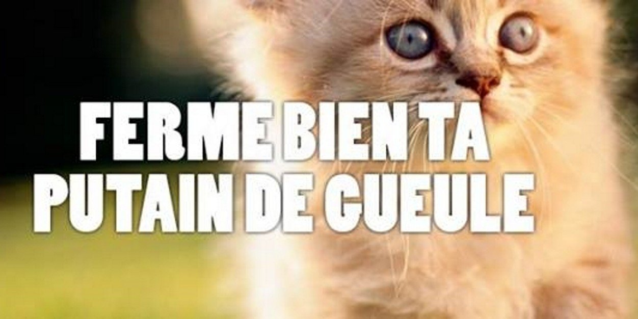 vie sans peine banner