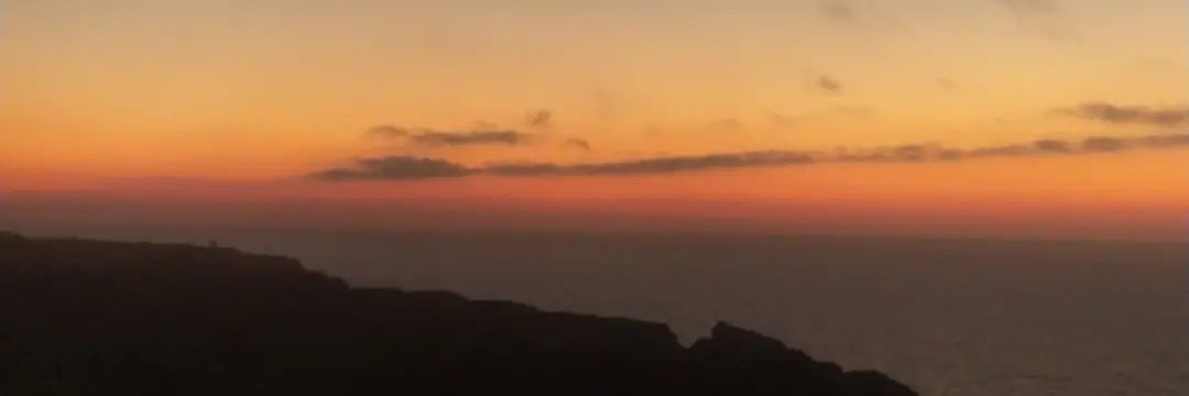 alba_nuno's profile banner image
