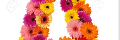 santilli_ana's profile banner image